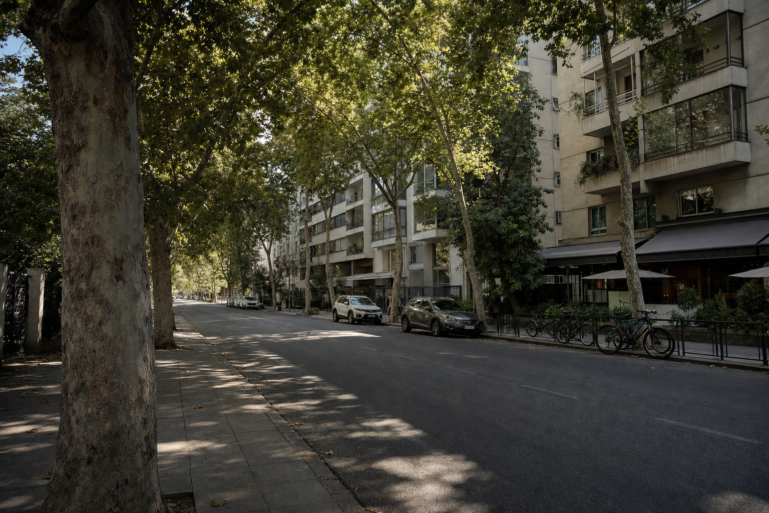 Calle arbolada de Providencia con edificios de departamentos y cafés en el primer piso